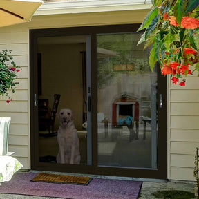 2-Panel Ultimate Security Sliding Patio Screen Door